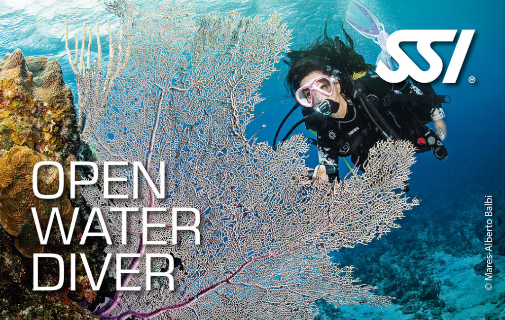 Open water diving course in the North of England
